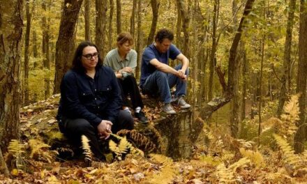 Yo La Tengo – Stuff Like That There