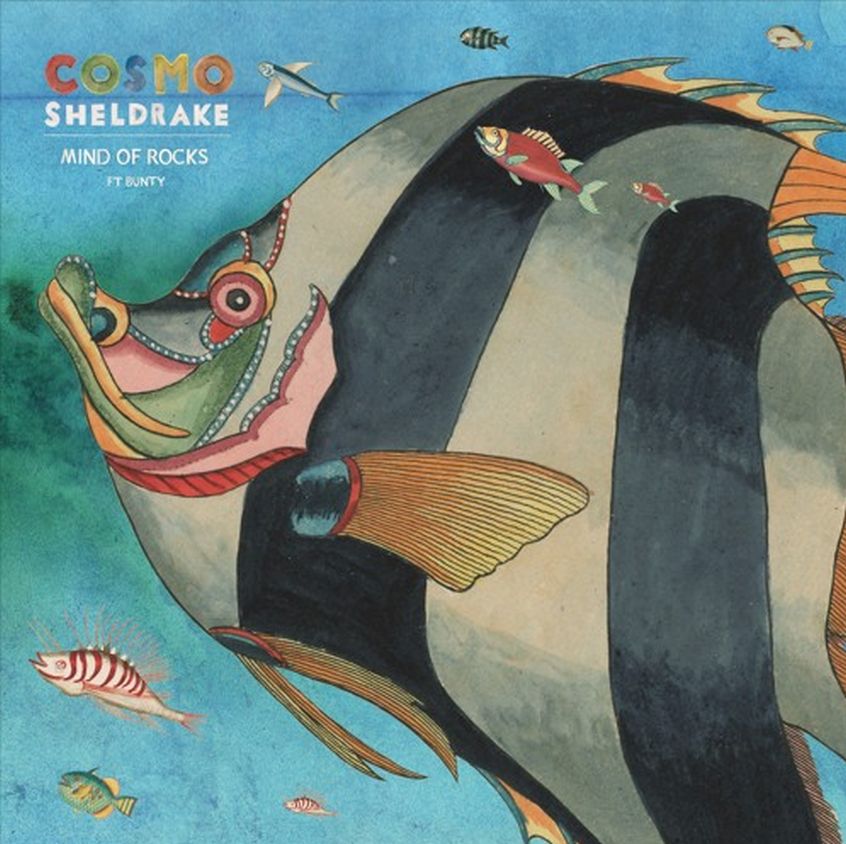 “Mind Of Rocks” è il secondo singolo estratto dal nuovo disco di Cosmo Sheldrake