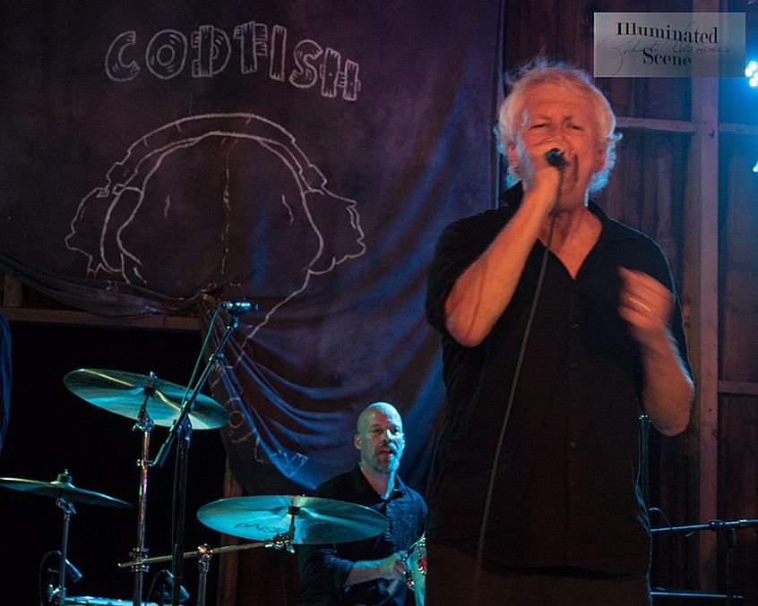 Nuovo album in arrivo per gli instancabili Guided By Voices