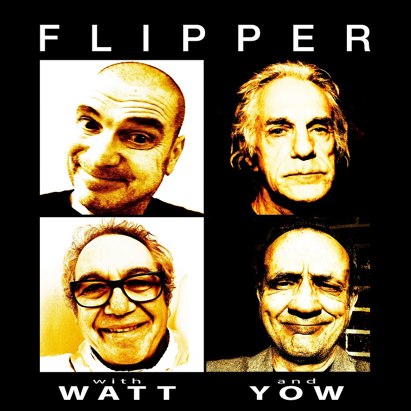 I Flipper in Italia ad agosto