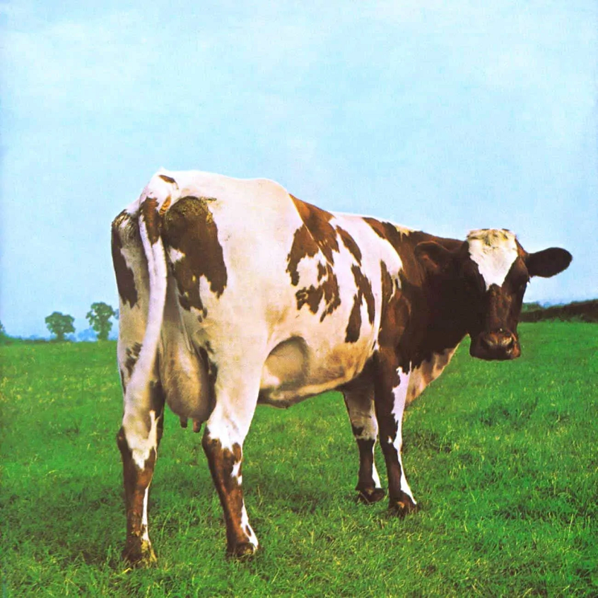 Oggi “Atom Heart Mother” dei Pink Floyd compie 50 anni