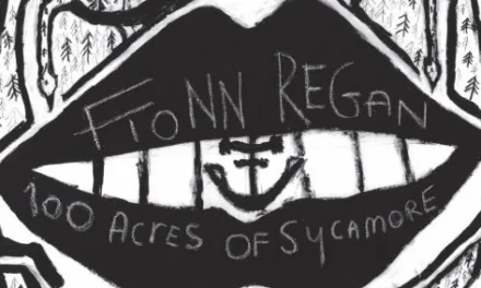 Fionn Regan – 100 Acres Of Sycamore