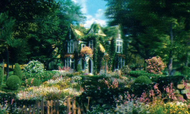 ALBUM: Eliza & The Delusionals – Make It Feel Like The Garden