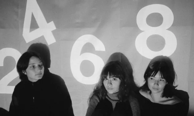 Nuovo disco per le Horsegirl. Ascolta il singolo “2468″.